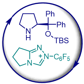 Asymmetric Organocatalysis